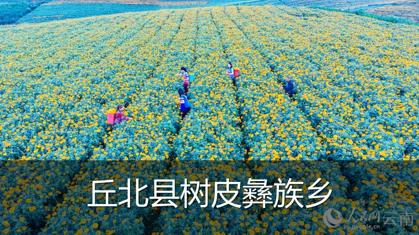 丘北县树皮彝族乡