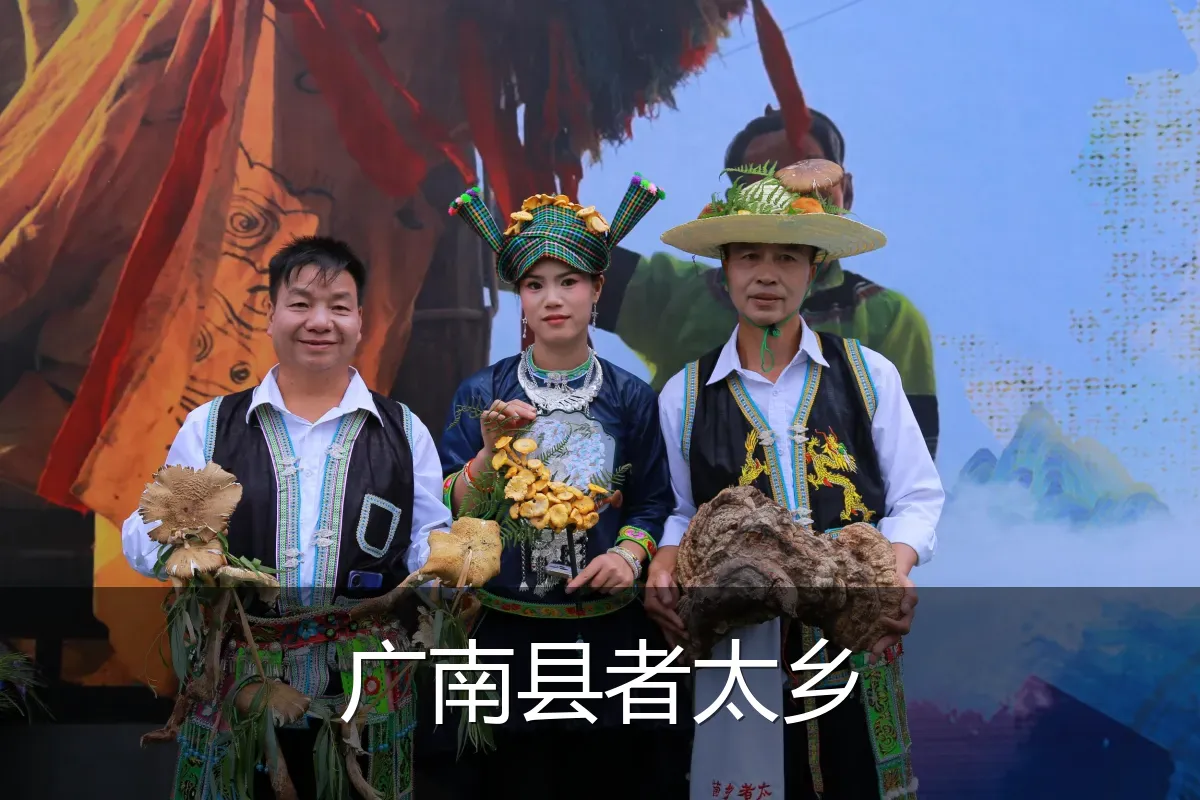 广南县者太乡