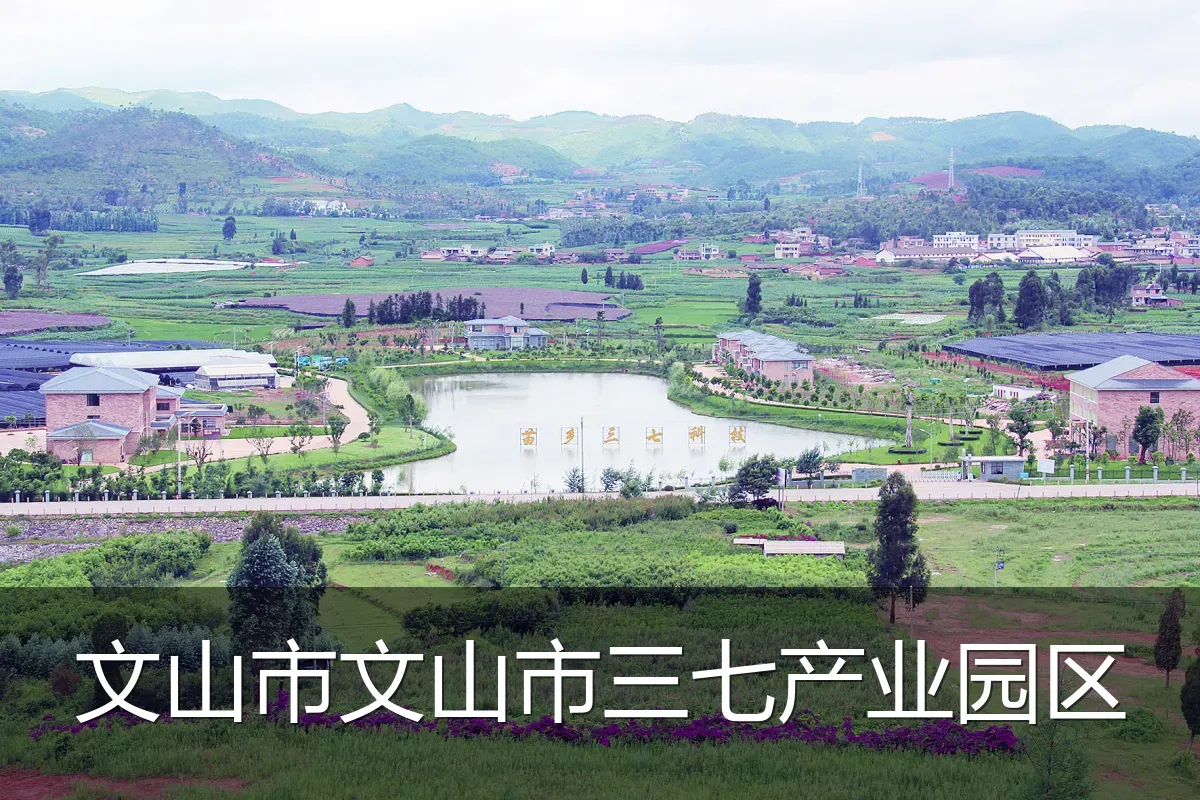 文山市文山市三七产业园区