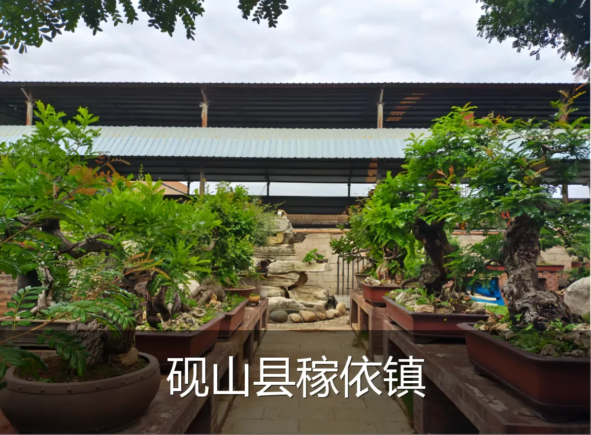 砚山县稼依镇