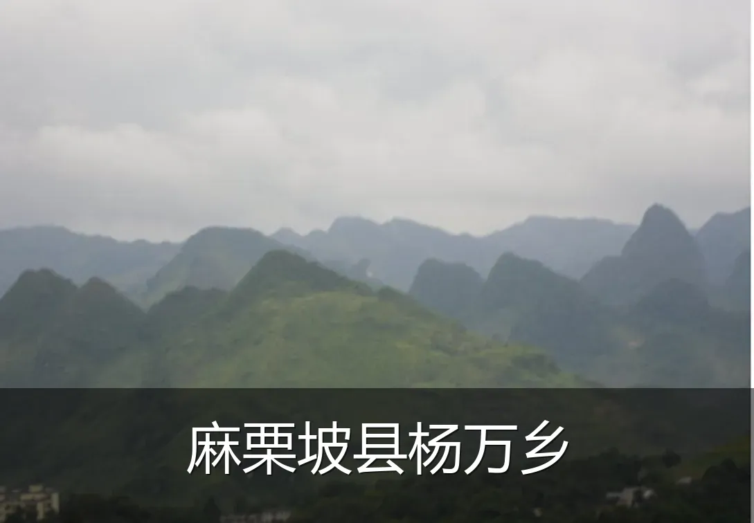 麻栗坡县杨万乡
