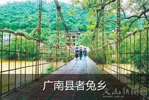 广南县者兔乡